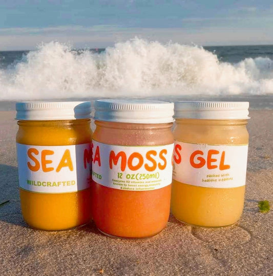 The Exotics | ๐๐๐ ๐๐๐ ๐๐จ๐ฌ๐ฌ ๐๐๐ฅ