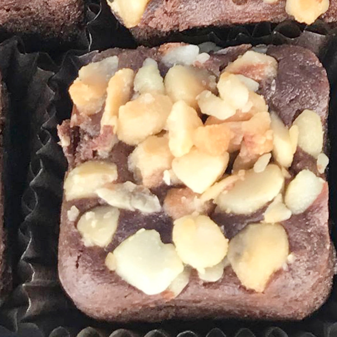 The Brownie Channel | ๐๐ฎ๐ข๐ฅ๐ ๐๐จ๐ฎ๐ซ ๐๐จ๐ฑ ๐จ๐ ๐๐ข๐ง๐ ๐๐ซ๐จ๐ฐ๐ง๐ข๐ ๐๐ข๐ญ๐๐ฌ