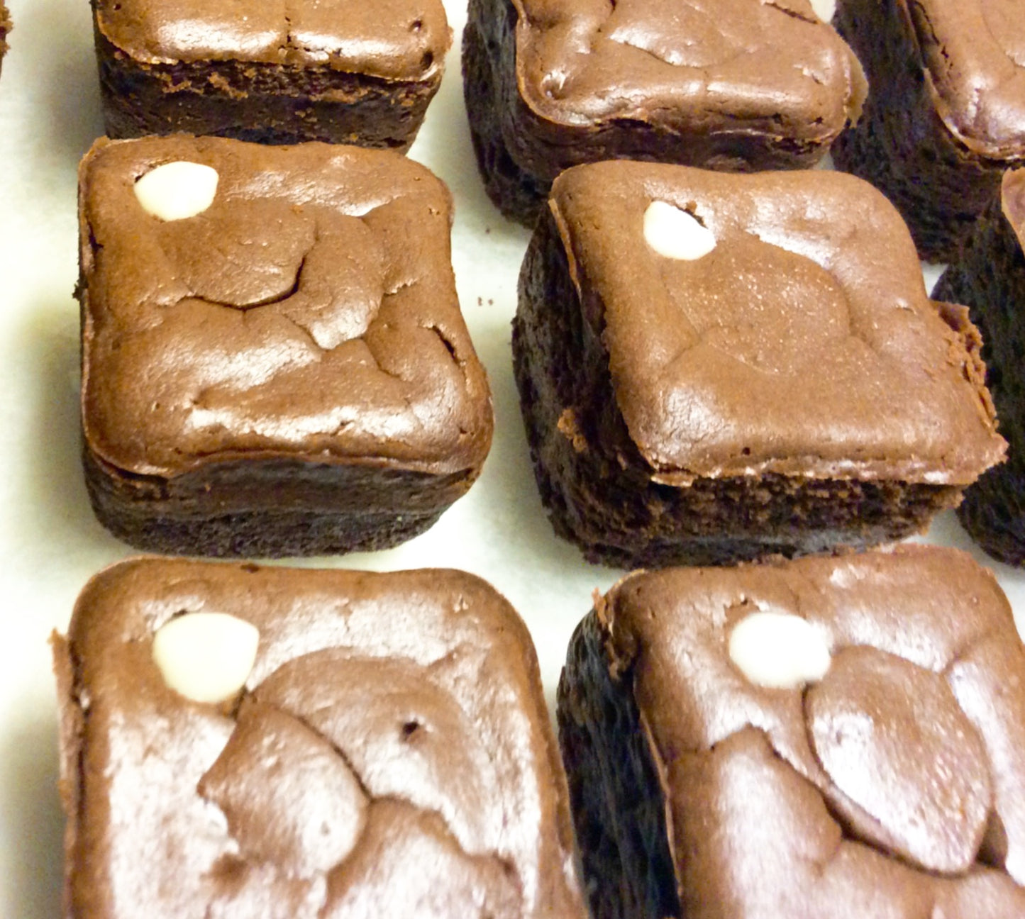 The Brownie Channel | ๐๐ข๐ฑ๐ข๐ง๐ ๐ข๐ญ ๐๐! ๐๐ฌ๐ฌ๐จ๐ซ๐ญ๐๐ ๐๐ซ๐จ๐ฐ๐ง๐ข๐ ๐๐ข๐ญ๐๐ฌ